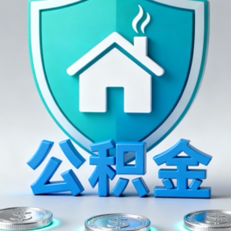 南阳公积金代办行业观察：谁在提供专业服务？